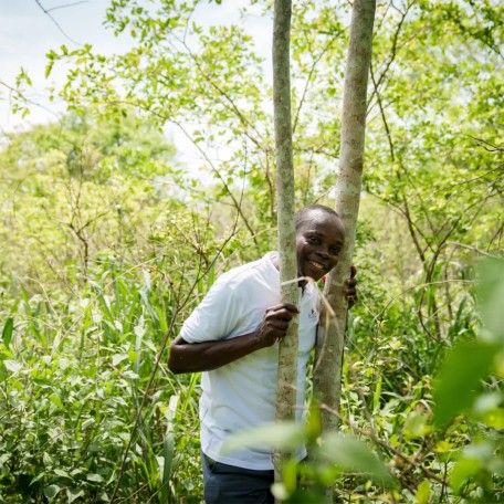 NatureOffice Project Togo Naturwaldaufforstung